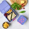 Little Lunch Box Co bento box for kids lunch