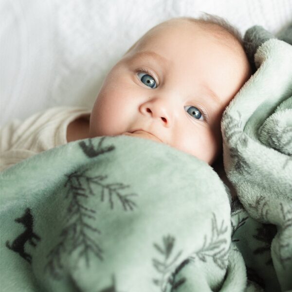 Perlimpinpin plush blanket for baby